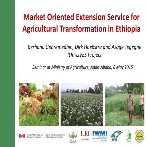 Market-oriented extension service for agricultural transformation in Ethiopia