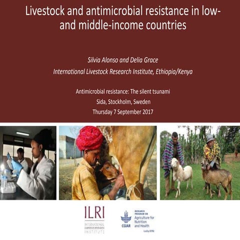 Livestock and antimicrobial resistance in low- and middle-income countries