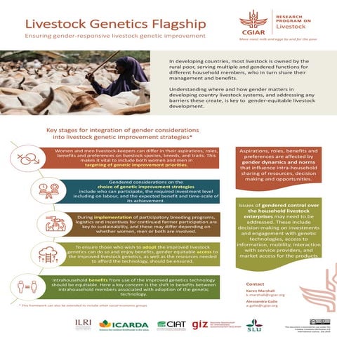 Livestock Genetics Flagship: Ensuring gender-responsive livestock genetic imp...