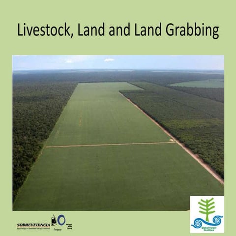 Livestock, Land and Land Grabbing