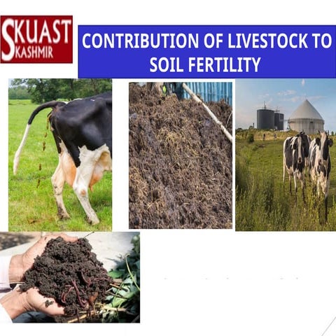 CONTRIBUTION OF LIVESTOCK TO SOIL FERTILITY