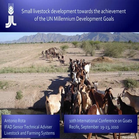 Small livestock development towards the achievement of the UN Millennium Deve...