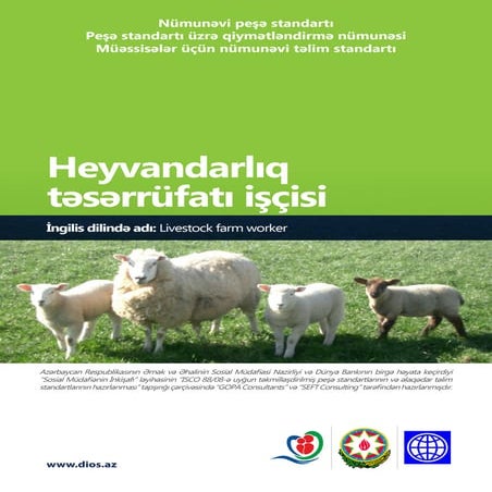 Livestock farm worker