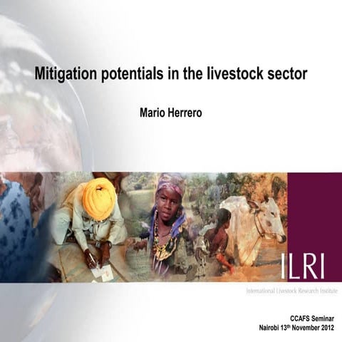 Livestock mitigation- Mario Herrero - Nov 2012