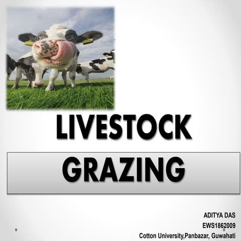 Livestock Grazing & effects on World.