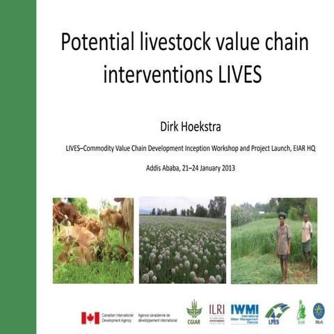 Potential livestock value chain interventions for the LIVES project