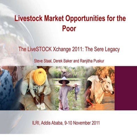 Livestock market opportunities for the poor