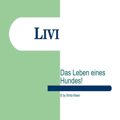 Livi - Das Leben eines Hundes!