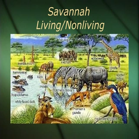 Living | PPT