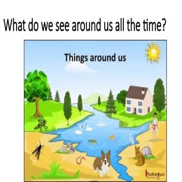 Living and Non Living class 2 level ppts