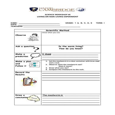 Living and nonliving experiment