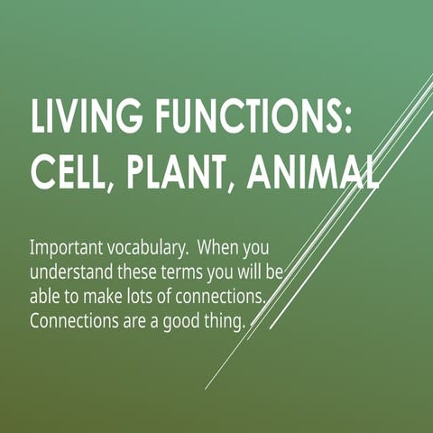 living_functions_vocabulary_notes (1).pptx