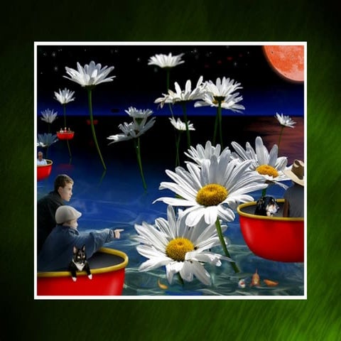 Living In Harmony With Animals   2009