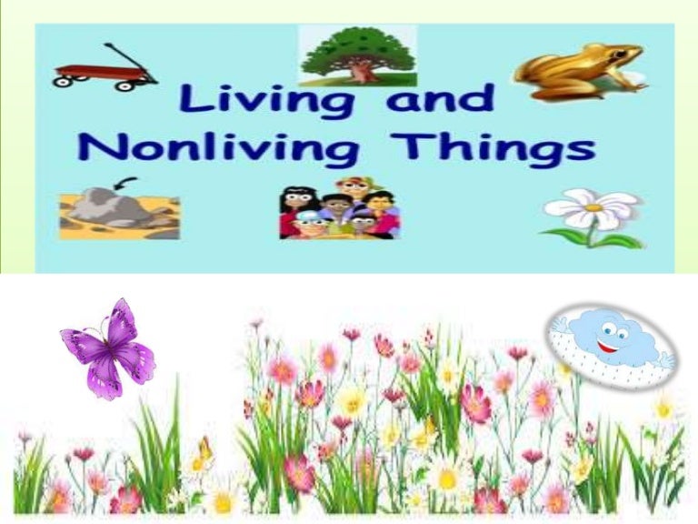 Living and non living things