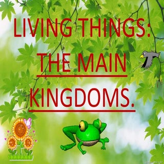 Living things: Kingdoms