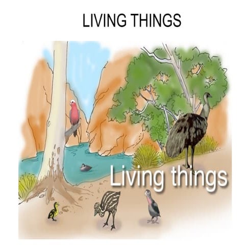 Living things 