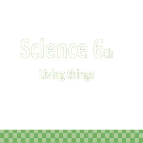 Living things 6º