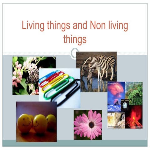 Living things and non living things