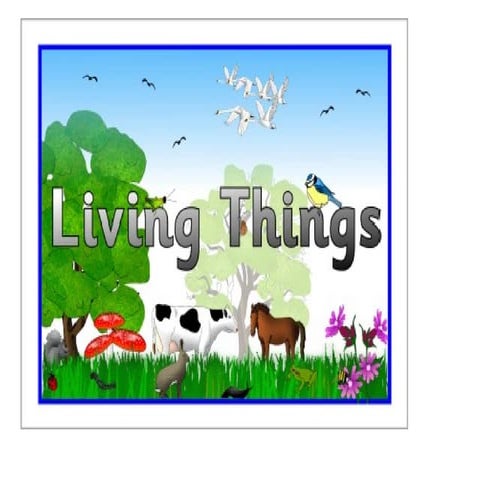 Living things and non living things by silvia and laura