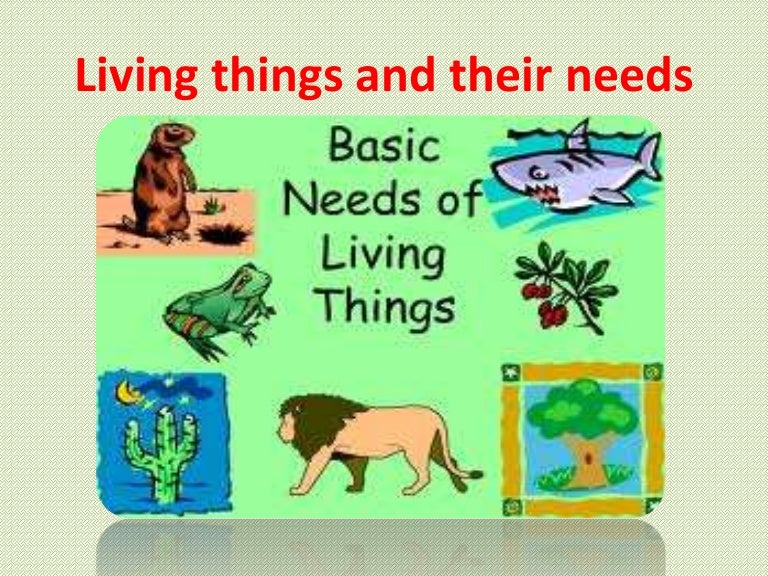 Living things and their needs