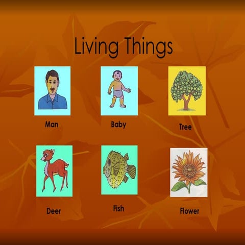 Living things & non living things