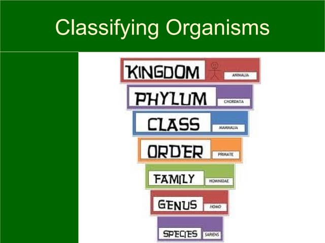 Living things classification