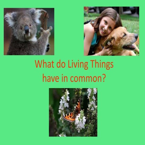 Living things powerpoint
