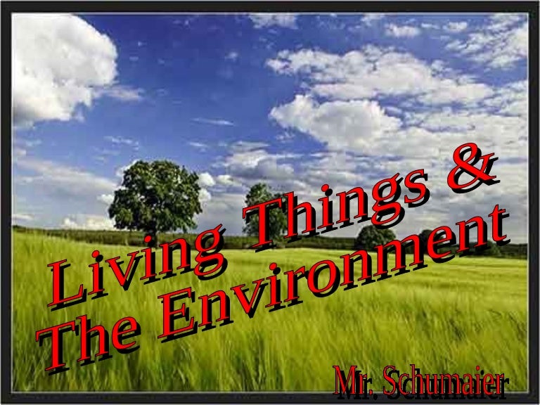 Living Things & The Environment