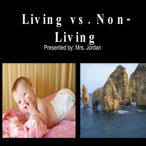Living vs nonliving
