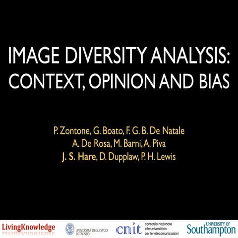 IMAGE DIVERSITY ANALYSIS: CONTEXT, OPINION AND BIAS