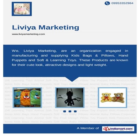 Liviya Marketing, Maharashtra, Kid Toys and Corporate Gifts