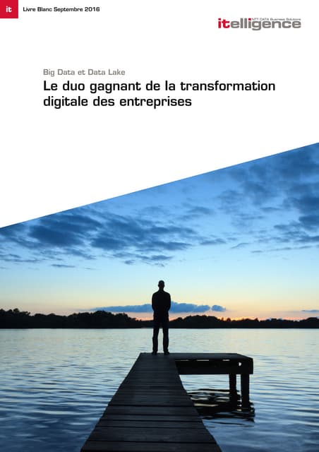 Livre blanc big data et data lake le duo gagnant extrait_itelligence