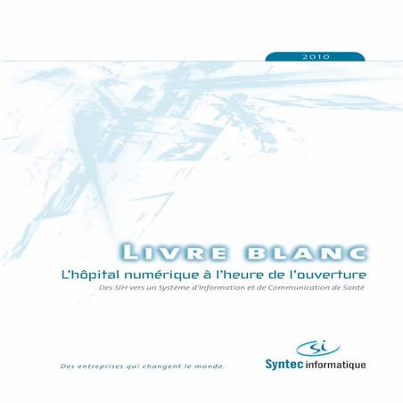 Livre blanc hopital numérique