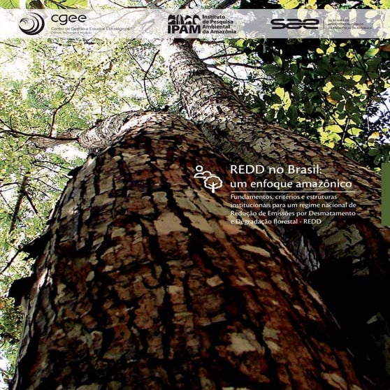 Livro redd-no-brasil