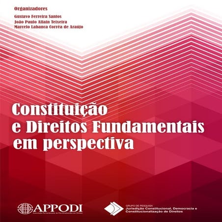 Constituição e Direitos Fundamentais em Perspectiva