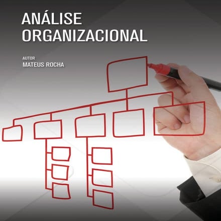 Livro Análise Organizacional Completo