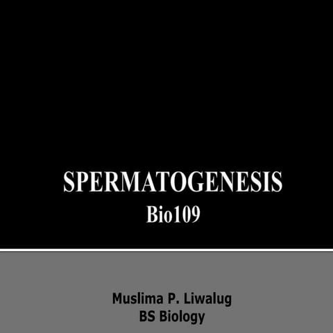 Spermatogenesis
