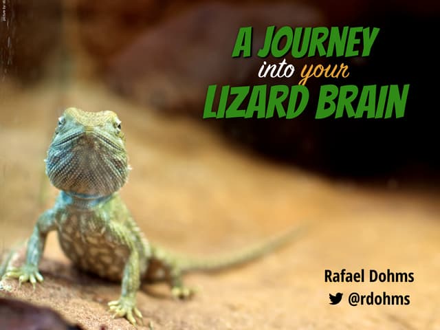 A Journey into your Lizard Brain - PHP Conference Brasil 2015