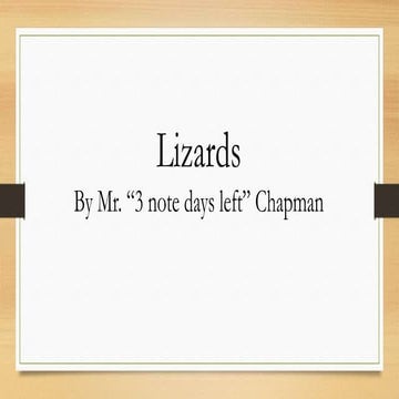 Lizard Notes