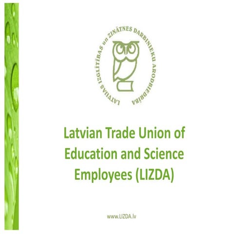 LIZDA eng | PPT