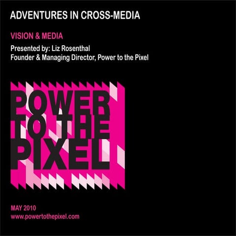 Liz Rosenthal V&M presentation May 2010