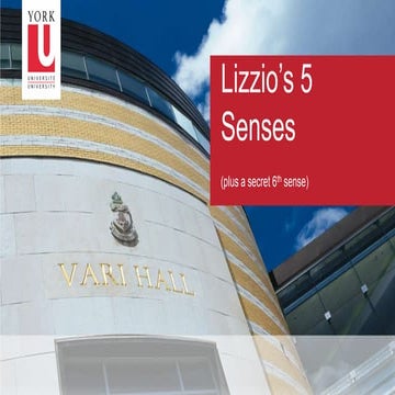 Alf Lizzio 5 senses theory presentation