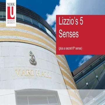 Alf Lizzio 5 senses theory presentation