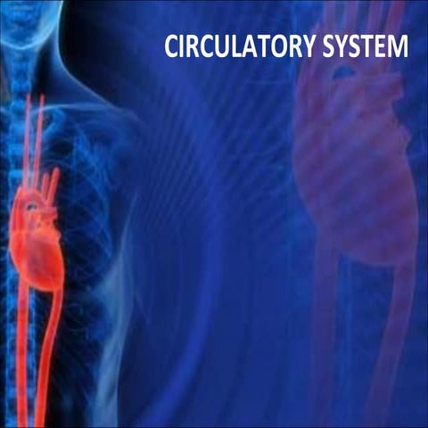 cardiovascular system