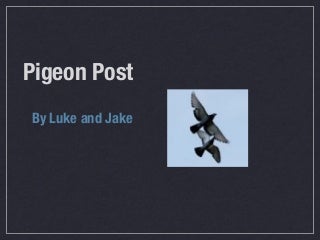 ljpigeon-091208174927-phpapp01-thumbnail