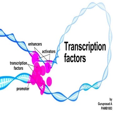 Plant_Transcription_factors