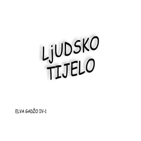 LjUDSKO  TIJELO.ppt