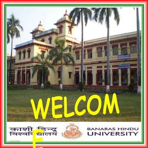 Soil Degradation in India: Challenges and Potential Solutions