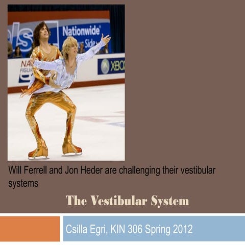 The Vestibular System