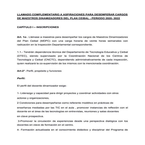 Llamado complementario  2020-2022- bases  (1)